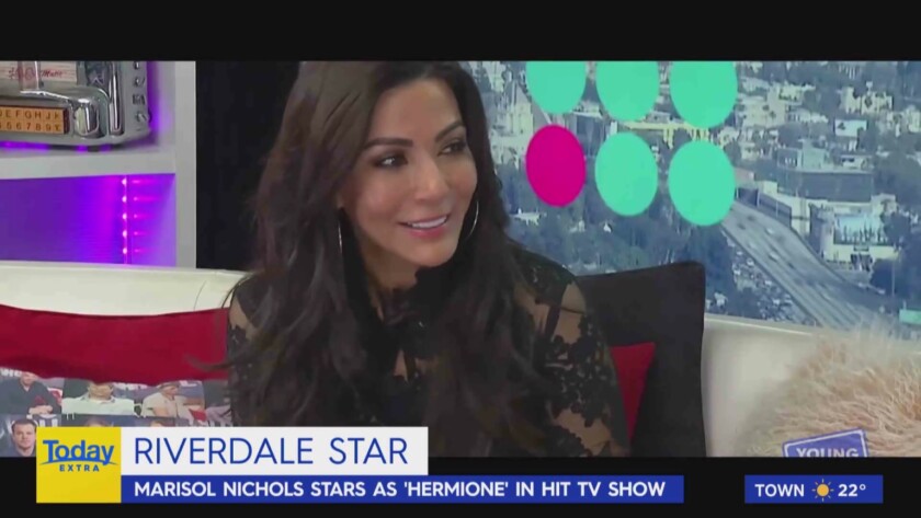 woman being interviewed on TV